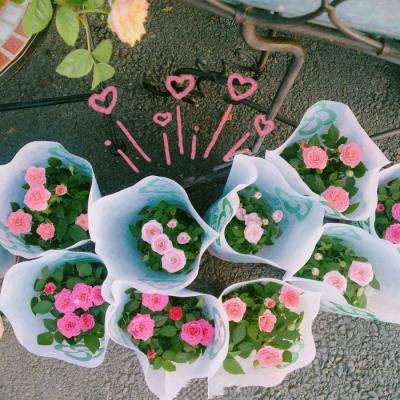 蜡笔小新开汽车